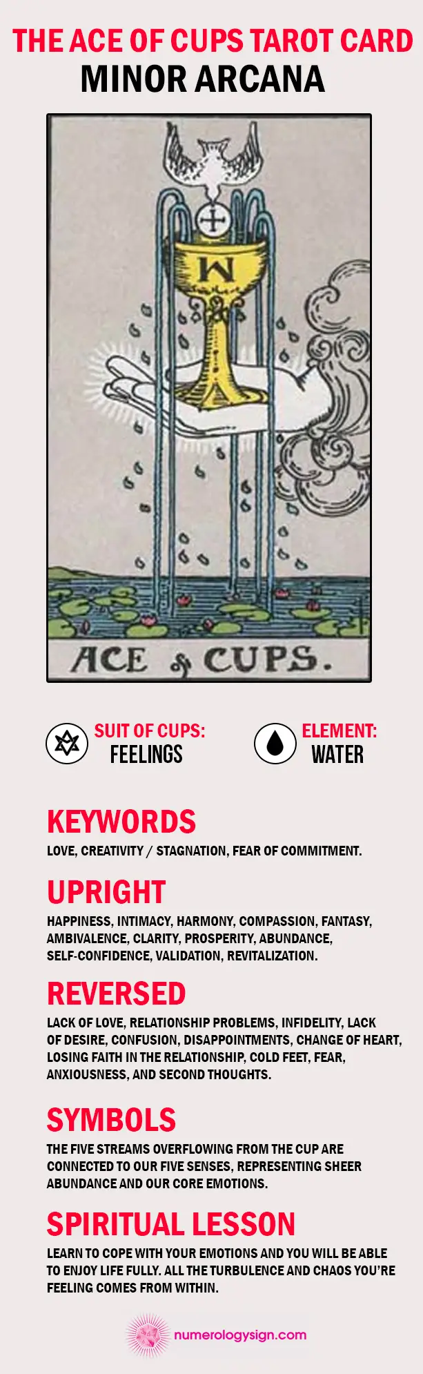 The Ace of Cups Tarot Card Meaning Infographic - Minor Arcana