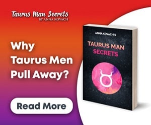 Taurus Man And Gemini Woman Compatibility Love Sex And