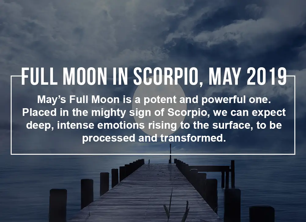 Scorpio Horoscope Daily  Today Horoscope Com