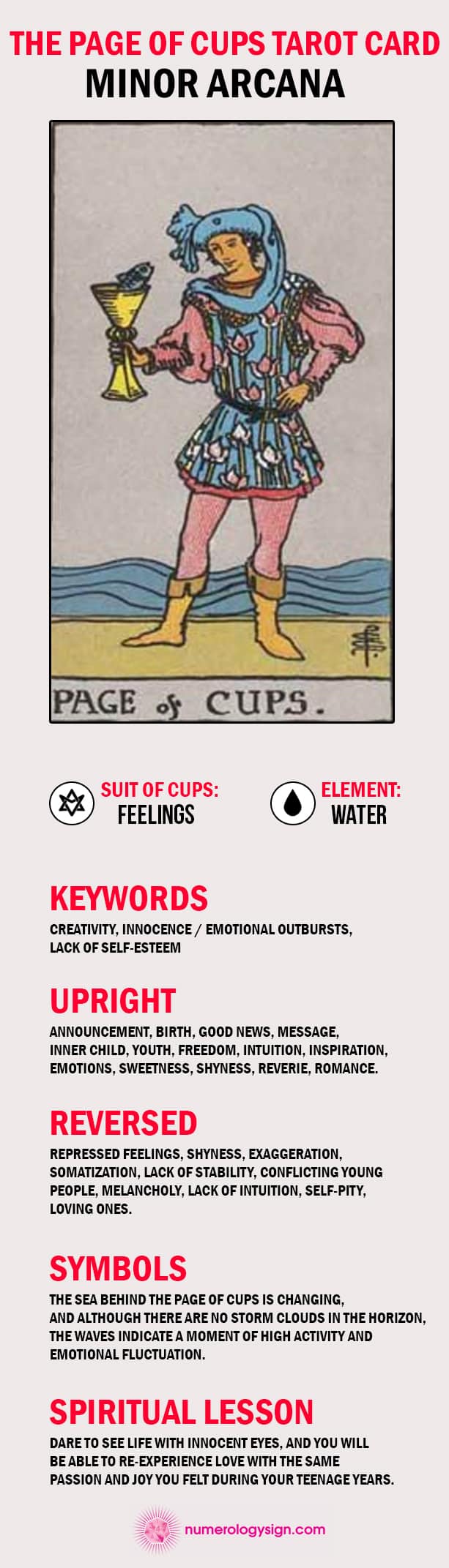 The Page of Cups Tarot Card Meaning Infographic - Minor Arcana