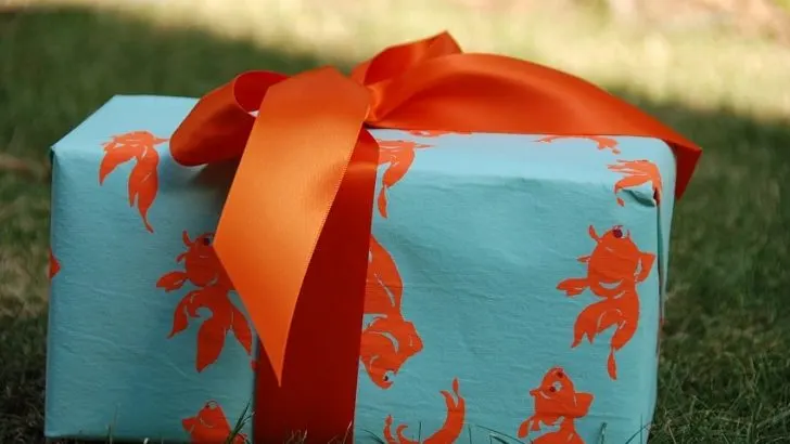 Best Gift Ideas for a Capricorn Woman