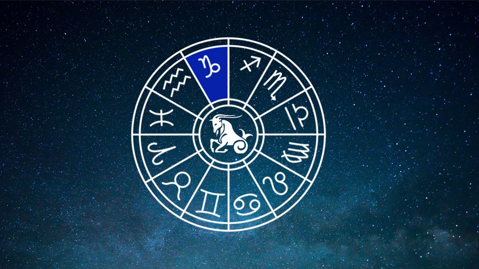 Capricorn Zodiac Wheel Horoscope