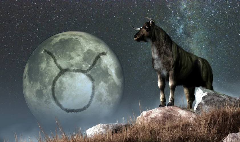 Taurus zodiac sign symbol on a moon in the background and a bull on a rock in the near ground
