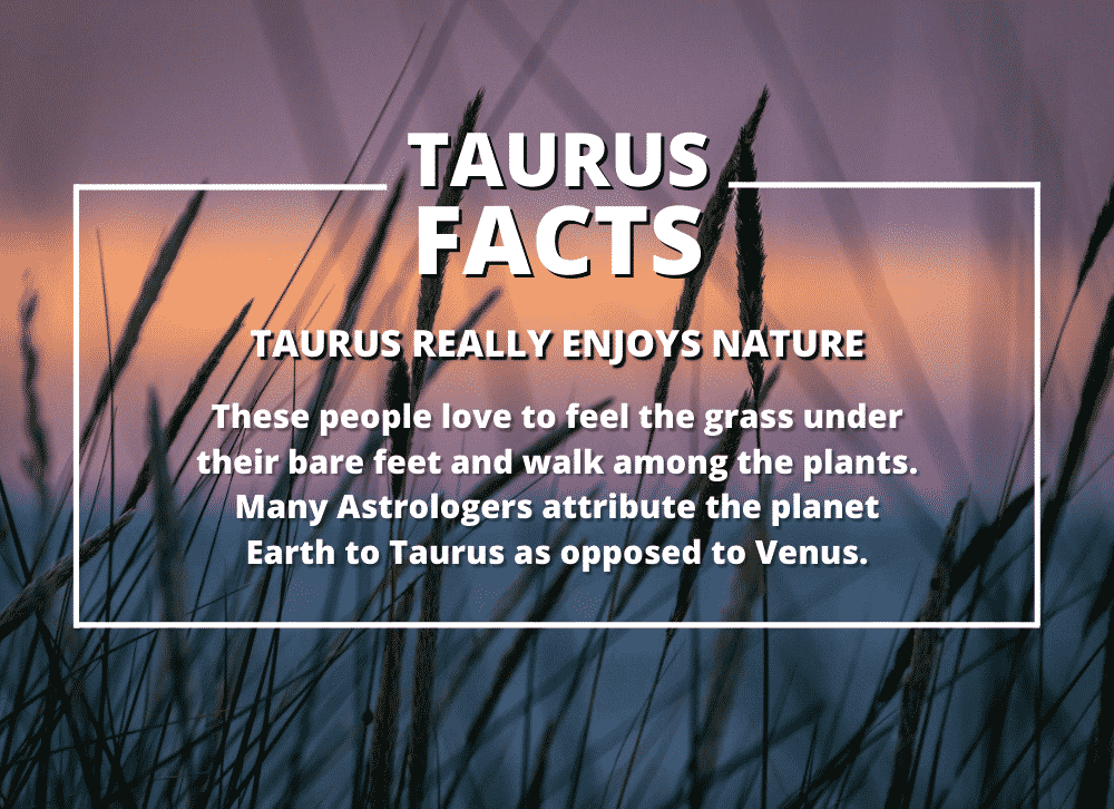 Taurus Zodiac Sign Facts