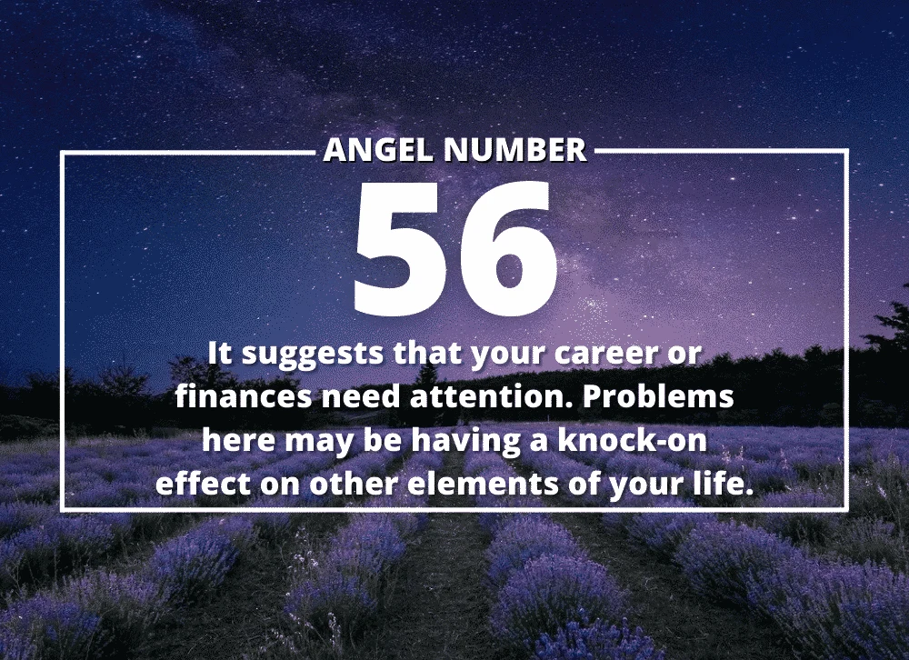 Angel Number 56 Meanings Why Are You Seeing 56 Numerologysign com