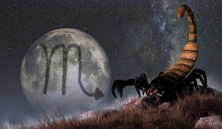 Scorpio zodiac sign symbol on a moon in the background and a scorpion on a rock in the foreground
