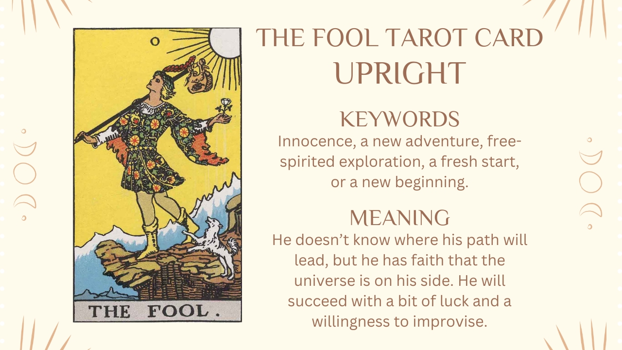 Vidner Krage Regnbue The Fool Tarot Card Meaning and Symbolism Upright and Reversed - Numerology  Sign