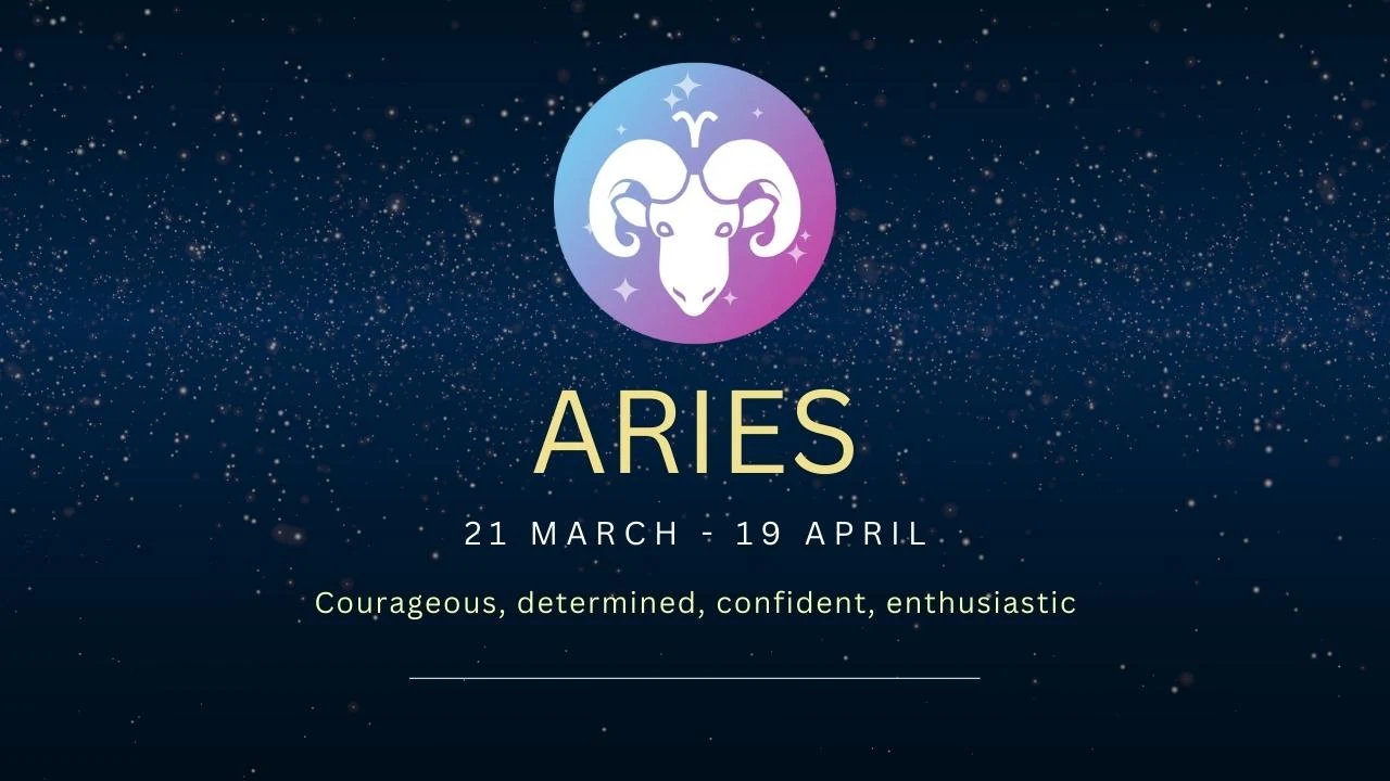 Aries Friendship Compatibility with All Zodiac Signs (Percentages and Chart)