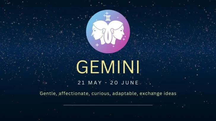 Gemini Zodiac Sign