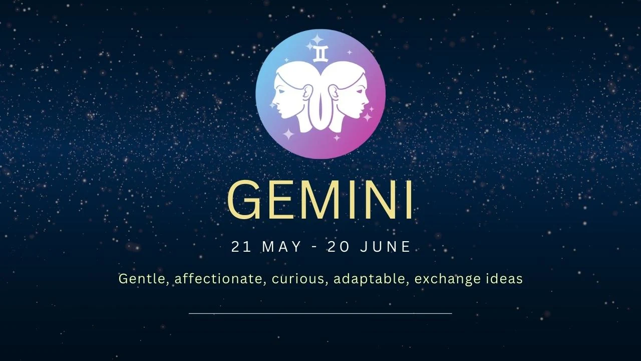 Gemini Friendship Compatibility with All Zodiac Signs (Percentages and Chart)