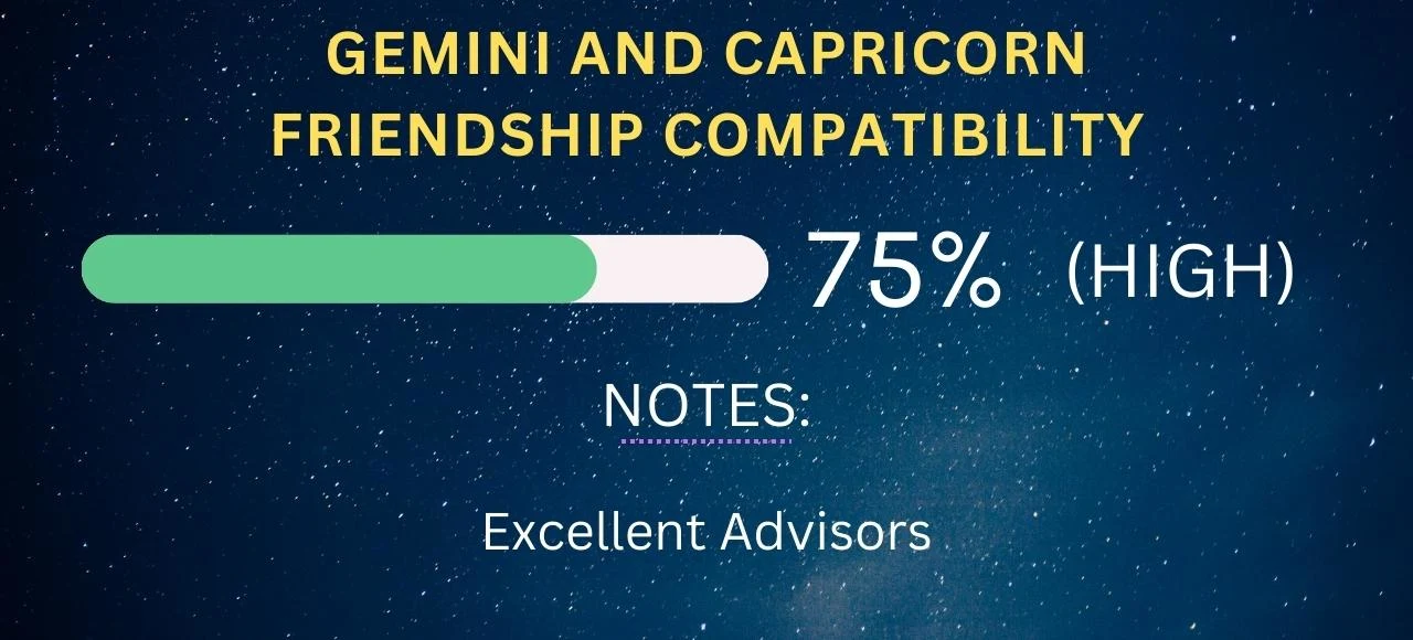 Gemini and Capricorn Friendship Compatibility 75% (High)