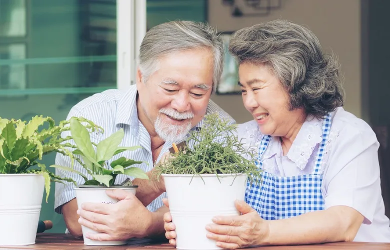 Older man and woman looking at and enjoying their potted planets on a table