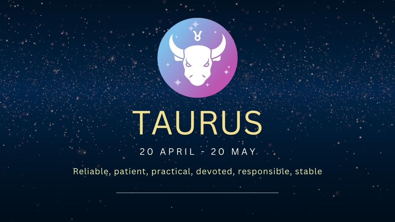 Taurus Friendship Compatibility with All Zodiac Signs (Percentages and Chart)