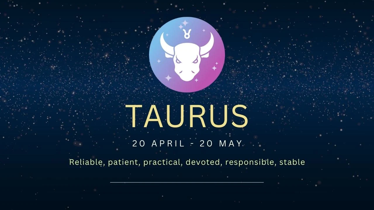 Taurus Friendship Compatibility with All Zodiac Signs (Percentages and Chart)