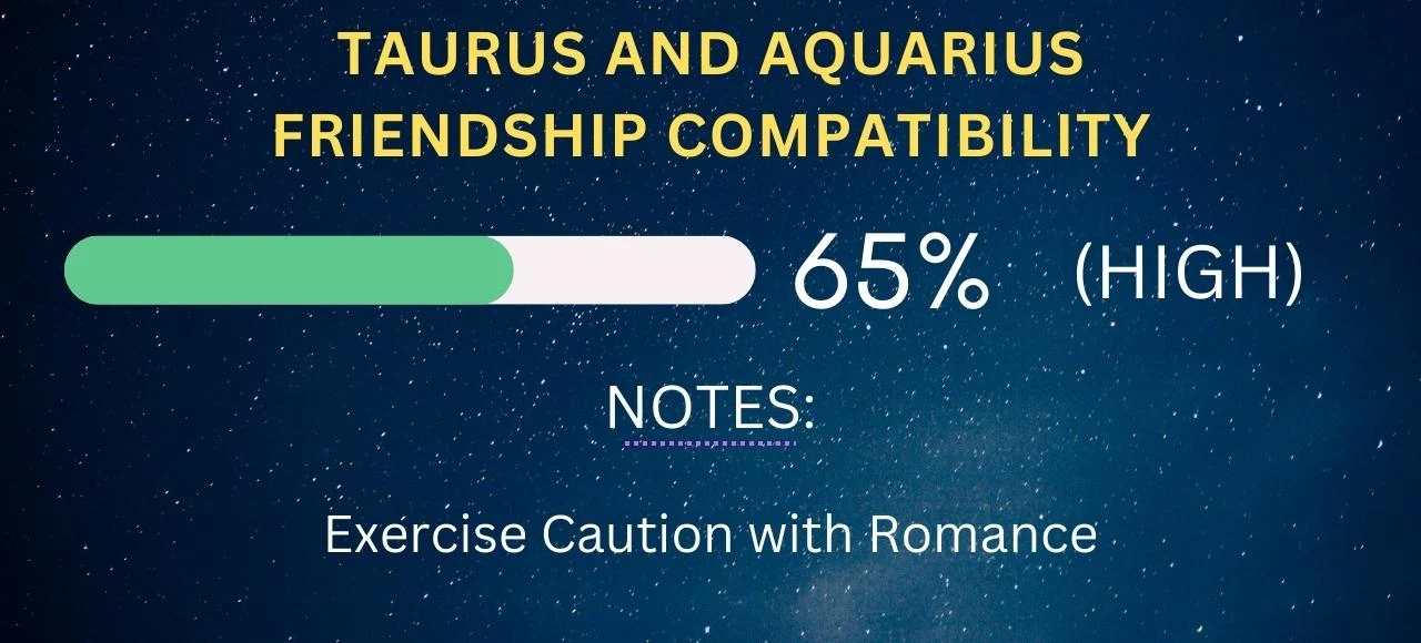 Taurus and Aquarius Friendship Compatibility 65% (High)
