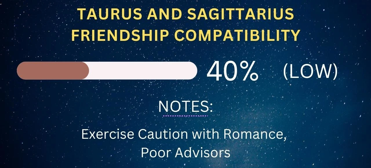 Taurus and Sagittarius Friendship Compatibility 40% (Low)