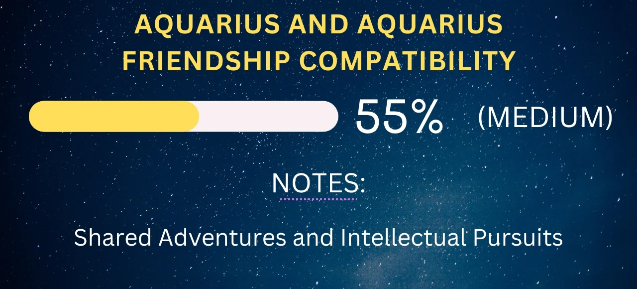 Aquarius Friendship Compatibility With All Zodiac Signs Percentages   Aquarius And Aquarius Friendship Compatibility .webp