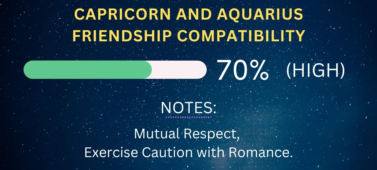 Capricorn and Aquarius Friendship Compatibility