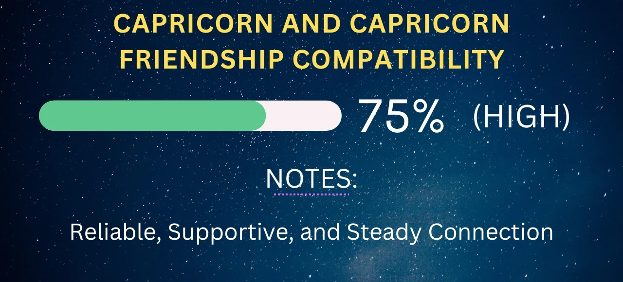 Capricorn and Capricorn Friendship Compatibility