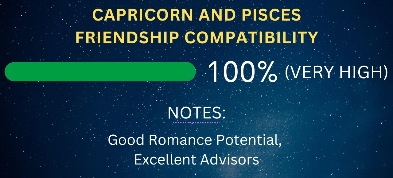 Capricorn and Pisces Friendship Compatibility