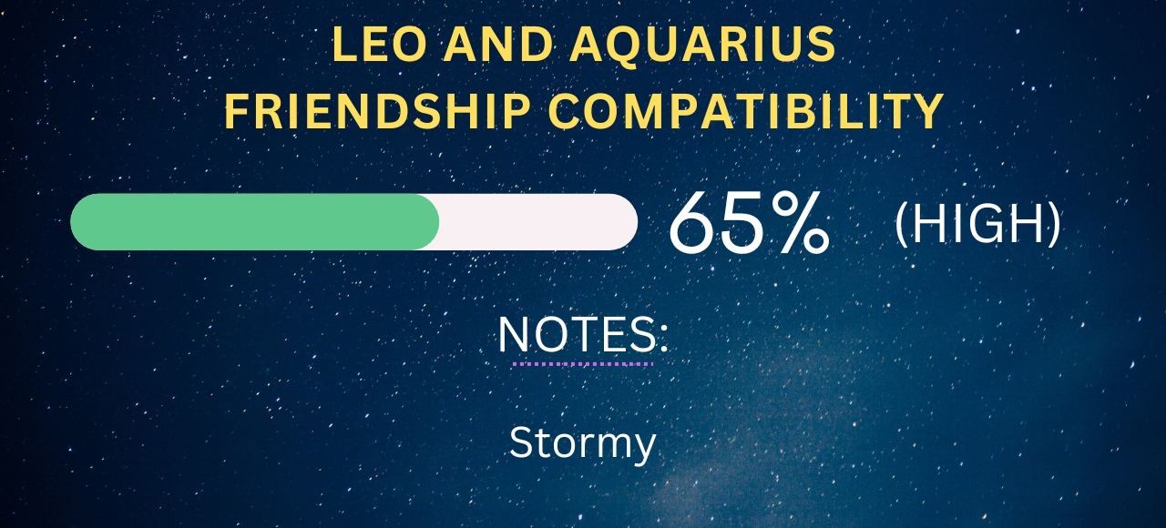 Leo and Aquarius Friendship Compatibility 65% (High)