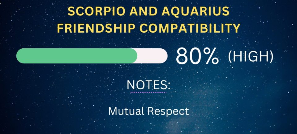 Aquarius Friendship Compatibility with All Zodiac Signs (Percentages ...