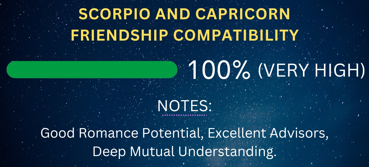 Scorpio and Capricorn Friendship Compatibility 100% (Very High)