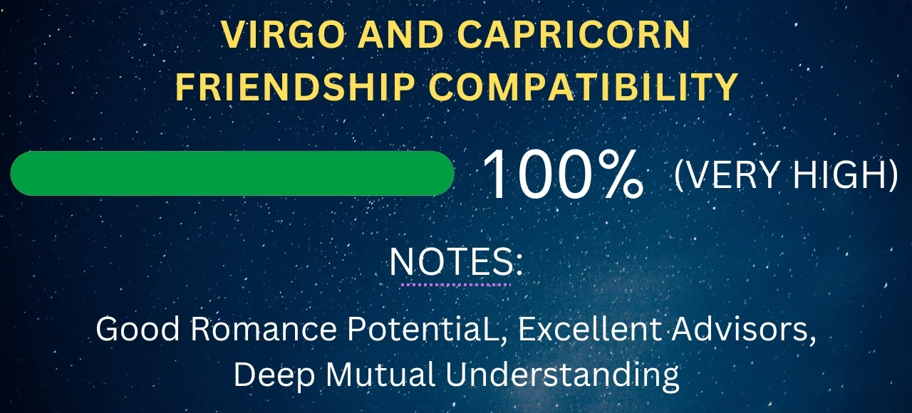 Virgo and Capricorn Friendship Compatibility 100% (Very High)