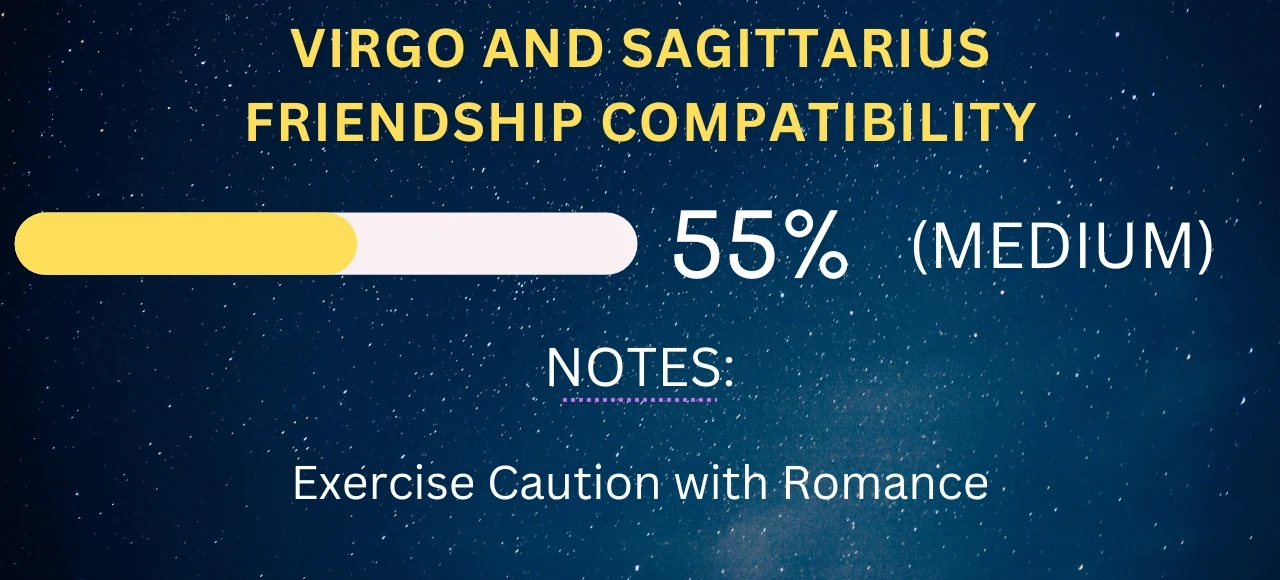 Virgo and Sagittarius Friendship Compatibility 55% (Medium)