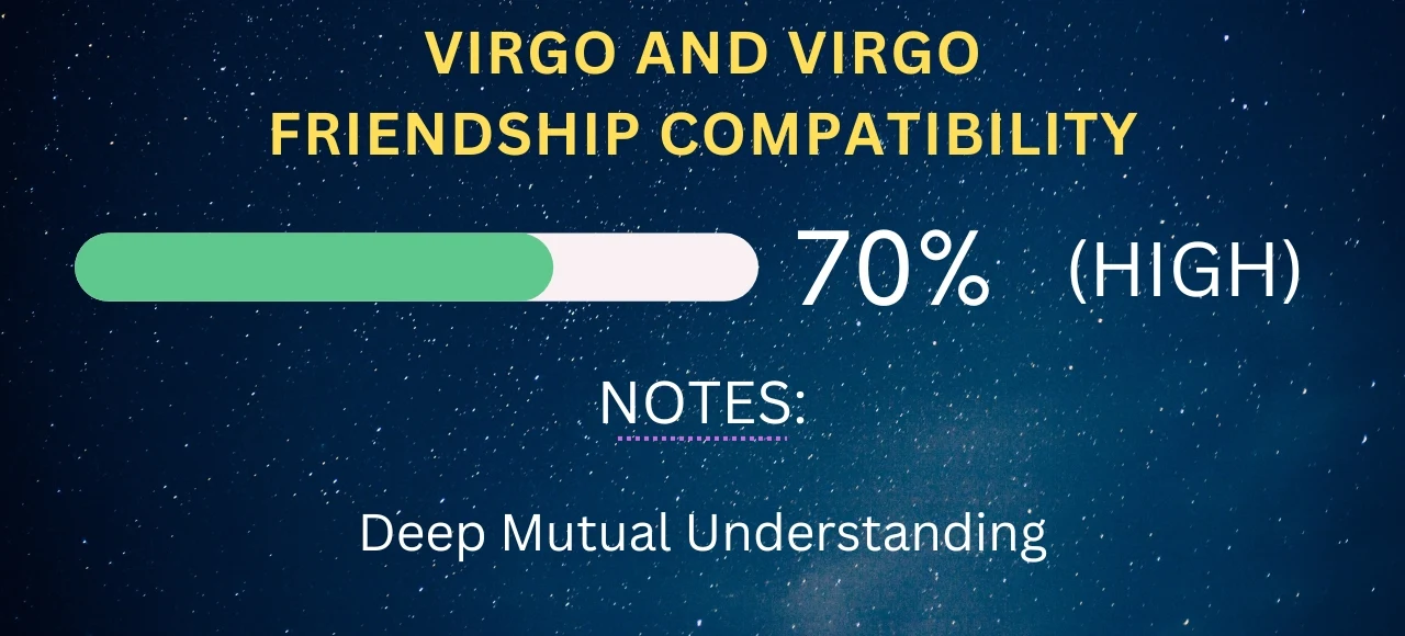 Virgo and Virgo Friendship Compatibility 70% (High)